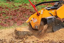 Seasonal Cleanup (Spring/Fall) in Zion, IL