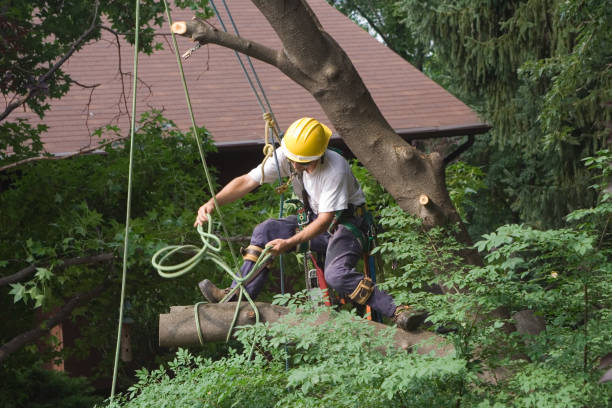 Soil Testing and Treatment in Zion, IL